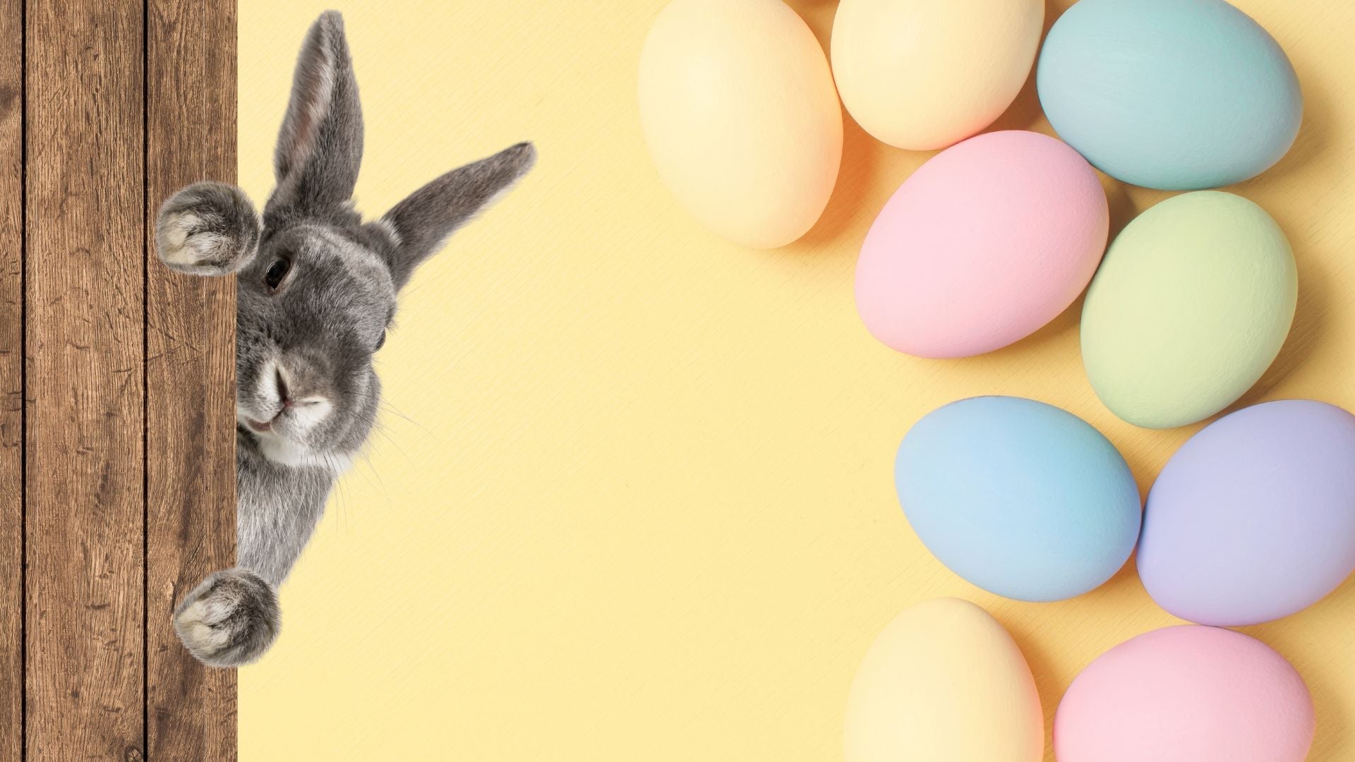 PÄÄSIÄISEN ALEKOODIN METSÄSTYS ON KÄYNNISSÄ 17.-22.4.