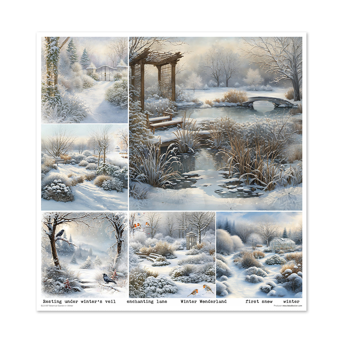 Paperisetti Botanical Garden in Winter 30 x 30cm | ITD Collection