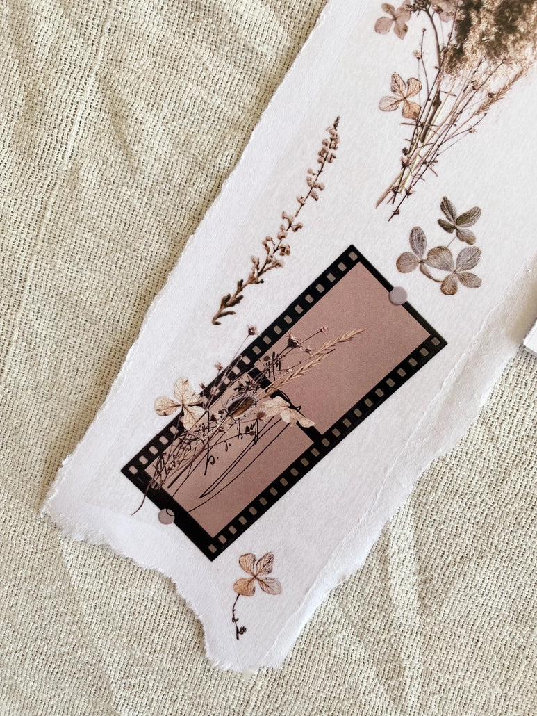 PET-teippi Dried Flowers Sample 1m | Chapteries