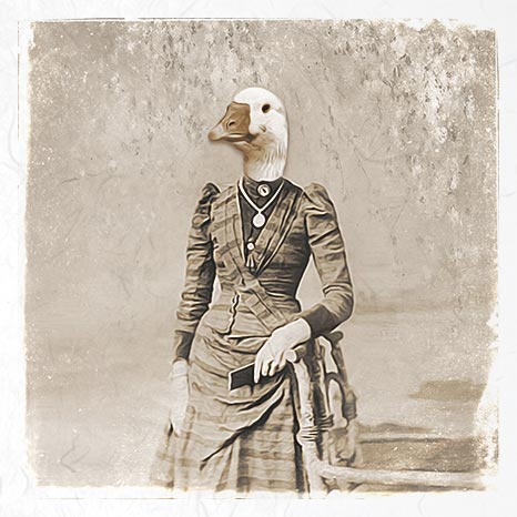 Riisipaperisetti Retro Animals 15 x 15cm | ITD Collection