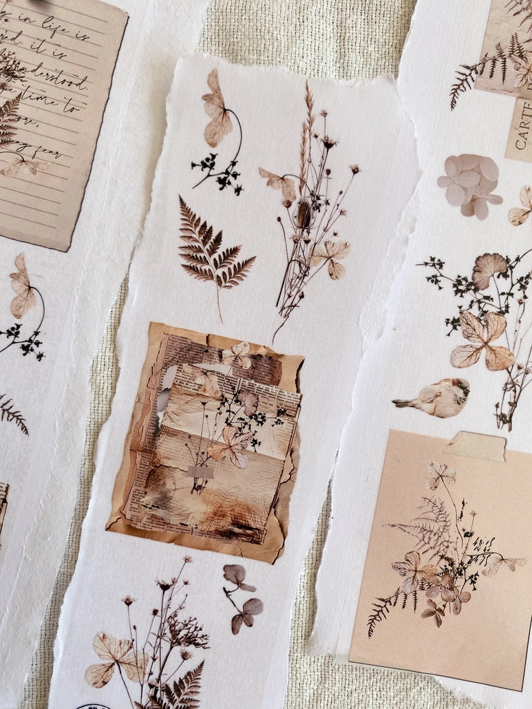 PET-teippi Dried Flowers Sample 1m | Chapteries