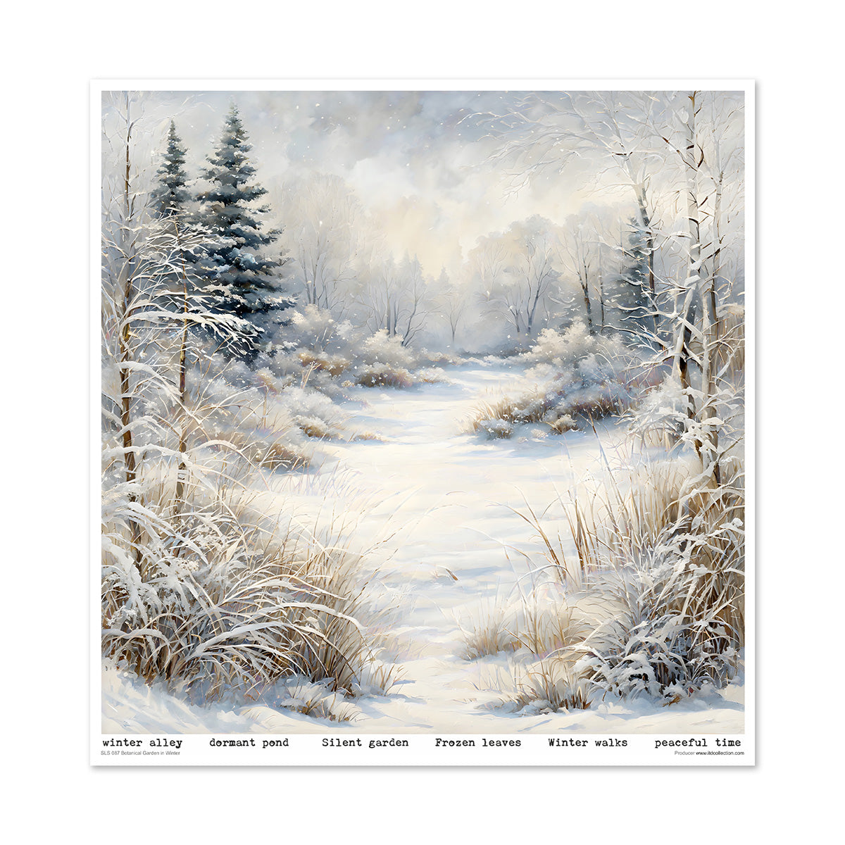 Paperisetti Botanical Garden in Winter 30 x 30cm | ITD Collection