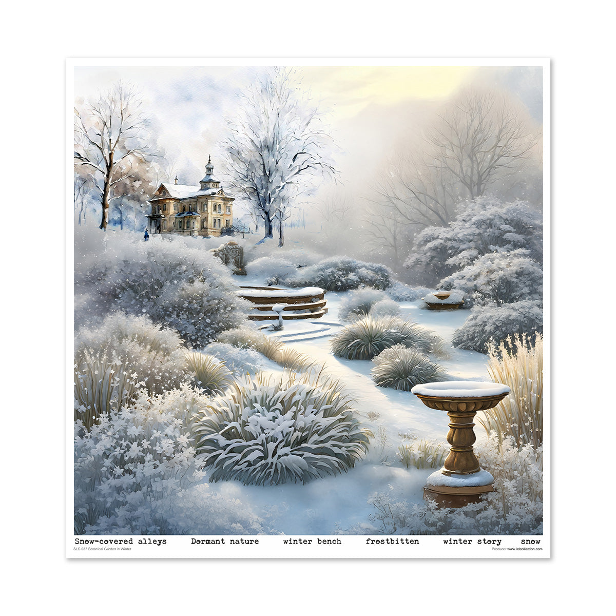 Paperisetti Botanical Garden in Winter 30 x 30cm | ITD Collection