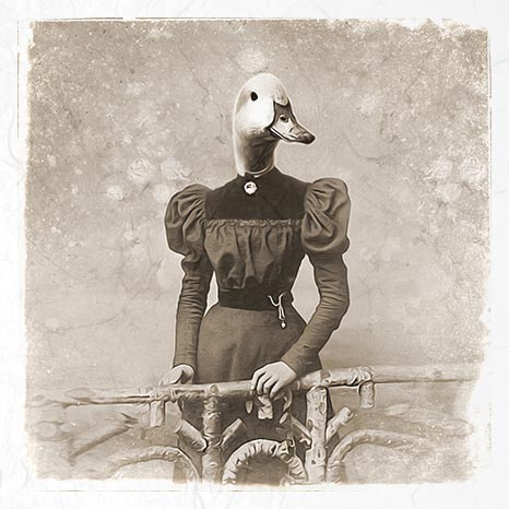 Riisipaperisetti Retro Animals 15 x 15cm | ITD Collection