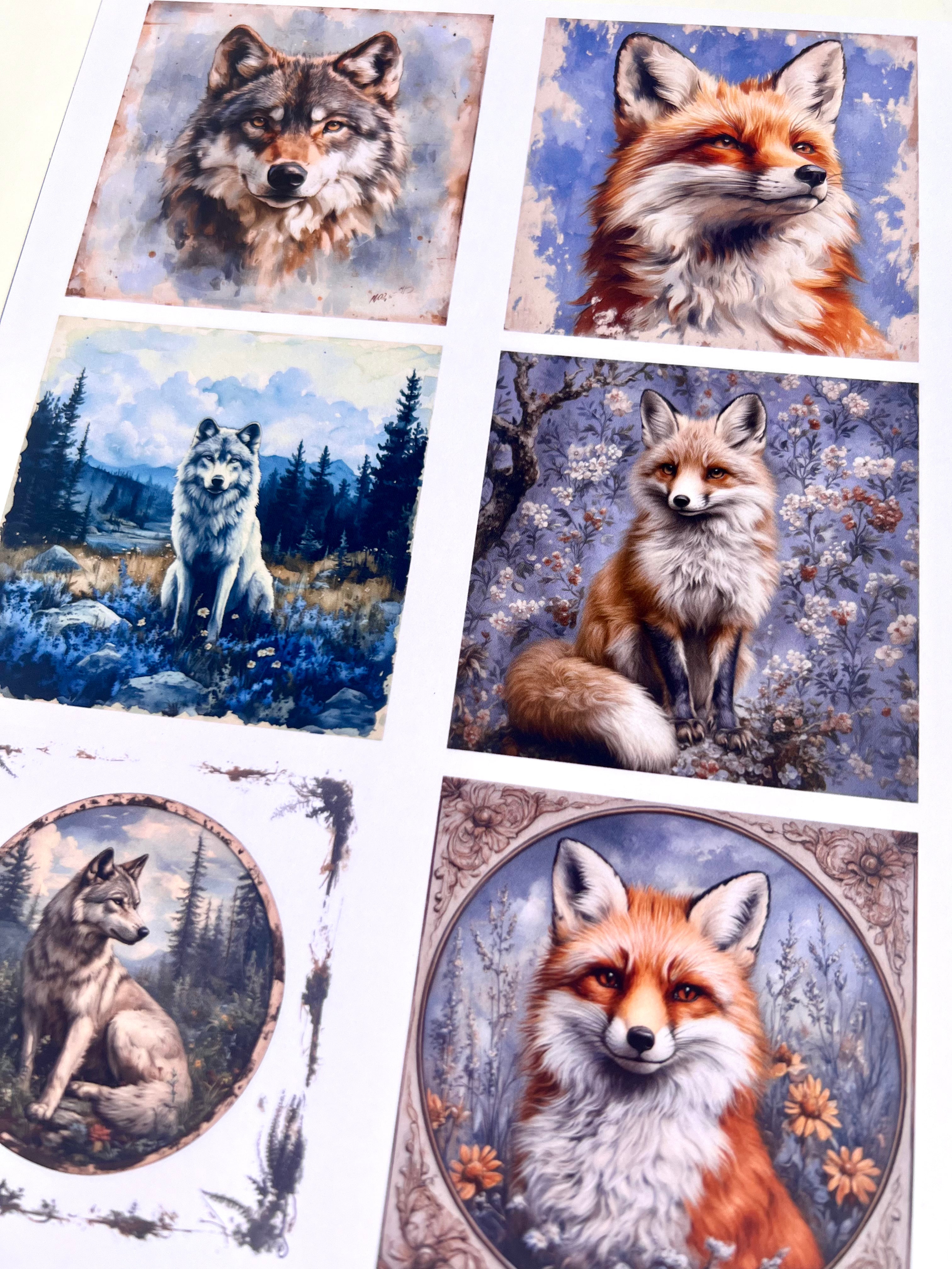 Photo sheet Tractors | Glimmering Deep