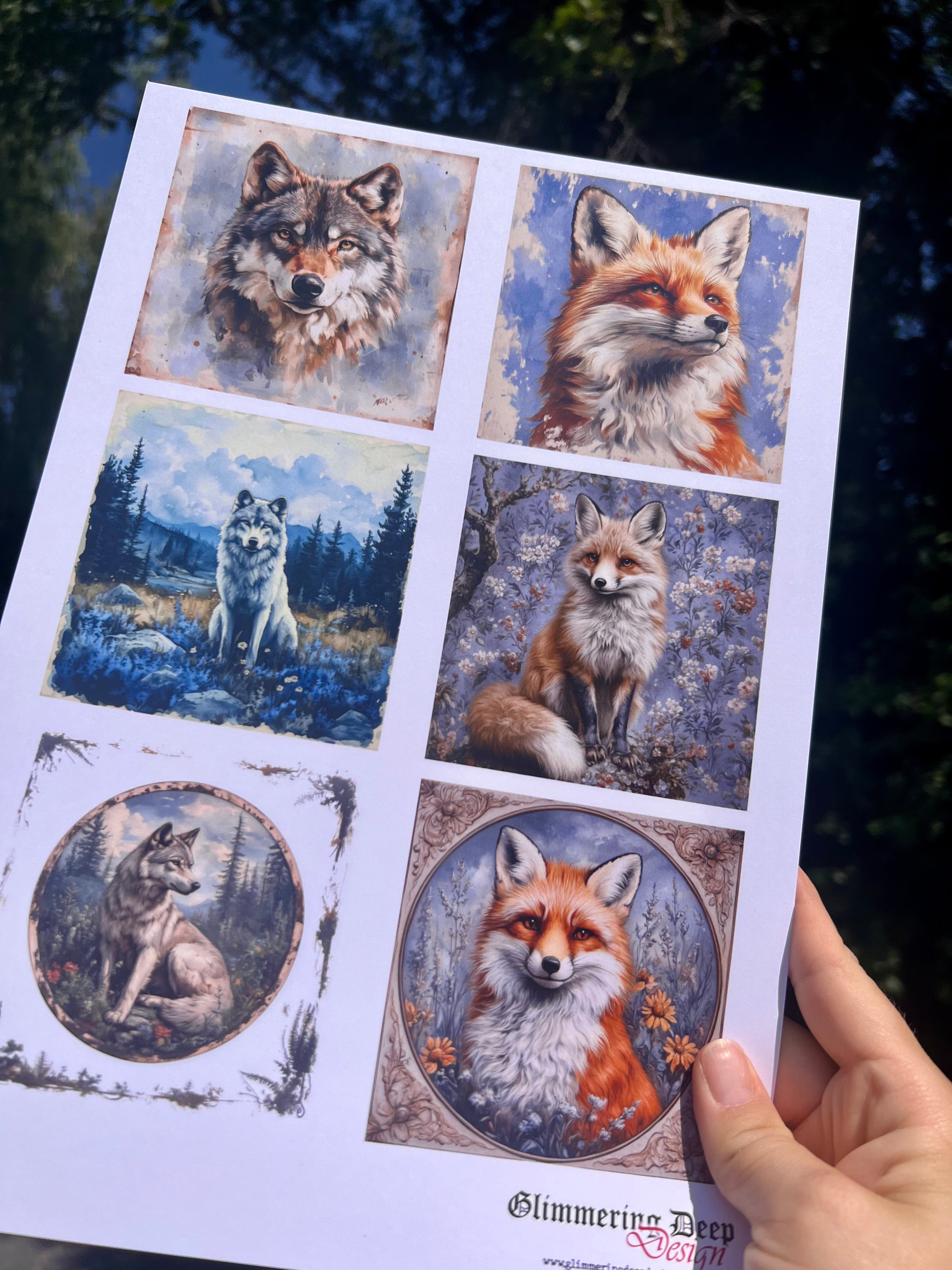 Photo sheet Tractors | Glimmering Deep