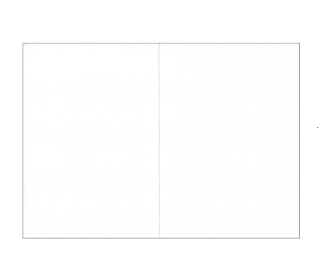 2-part pearlescent card base white 10pcs | JK Primeco