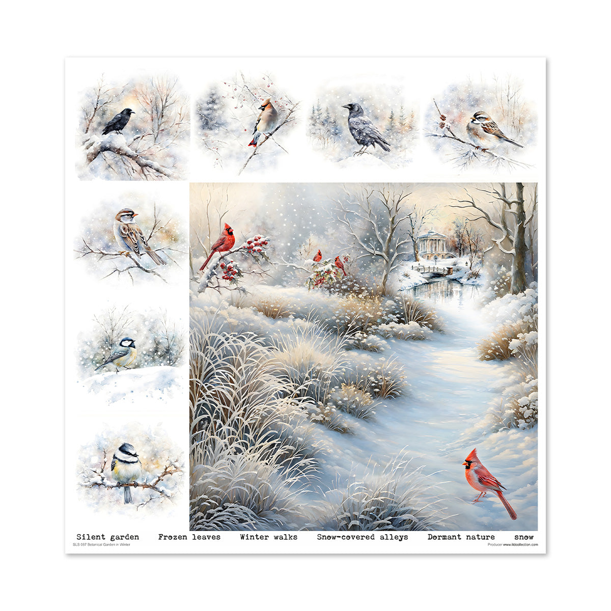 Paperisetti Botanical Garden in Winter 30 x 30cm | ITD Collection