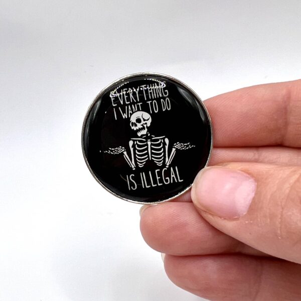 Pinssi Everything I want to do is illegal