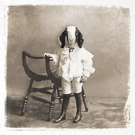 Riisipaperisetti Retro Animals 15 x 15cm | ITD Collection