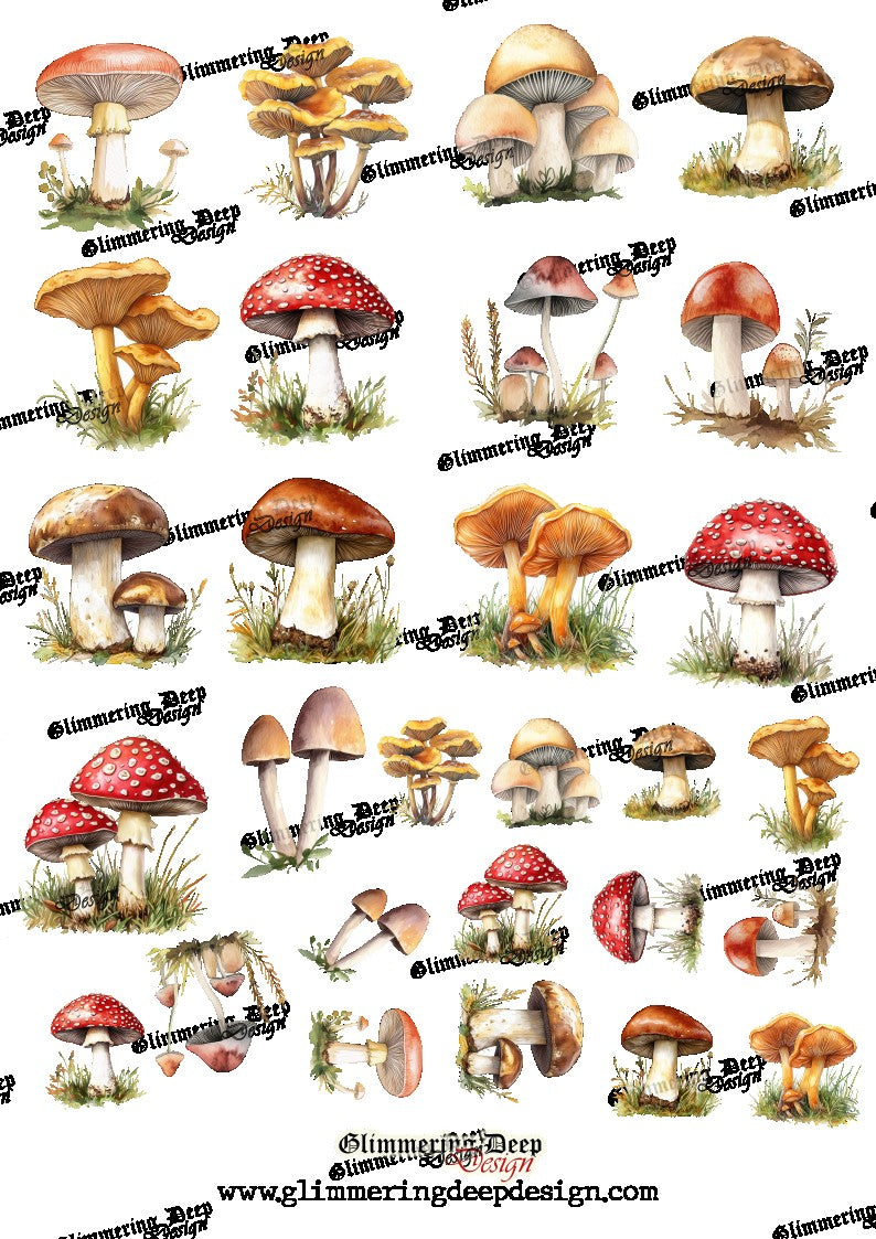 Photo sheet Tractors | Glimmering Deep