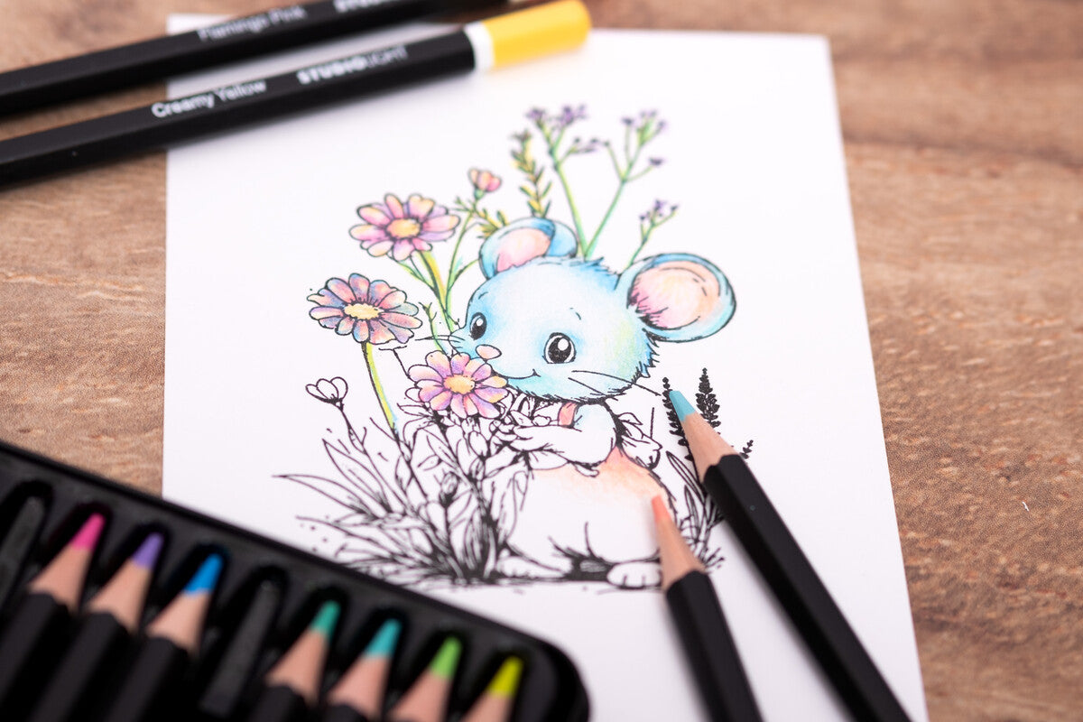 Värityskynät, pastellivärit | Studio Light