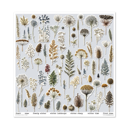 Paperisetti Botanical Garden in Winter 30 x 30cm | ITD Collection