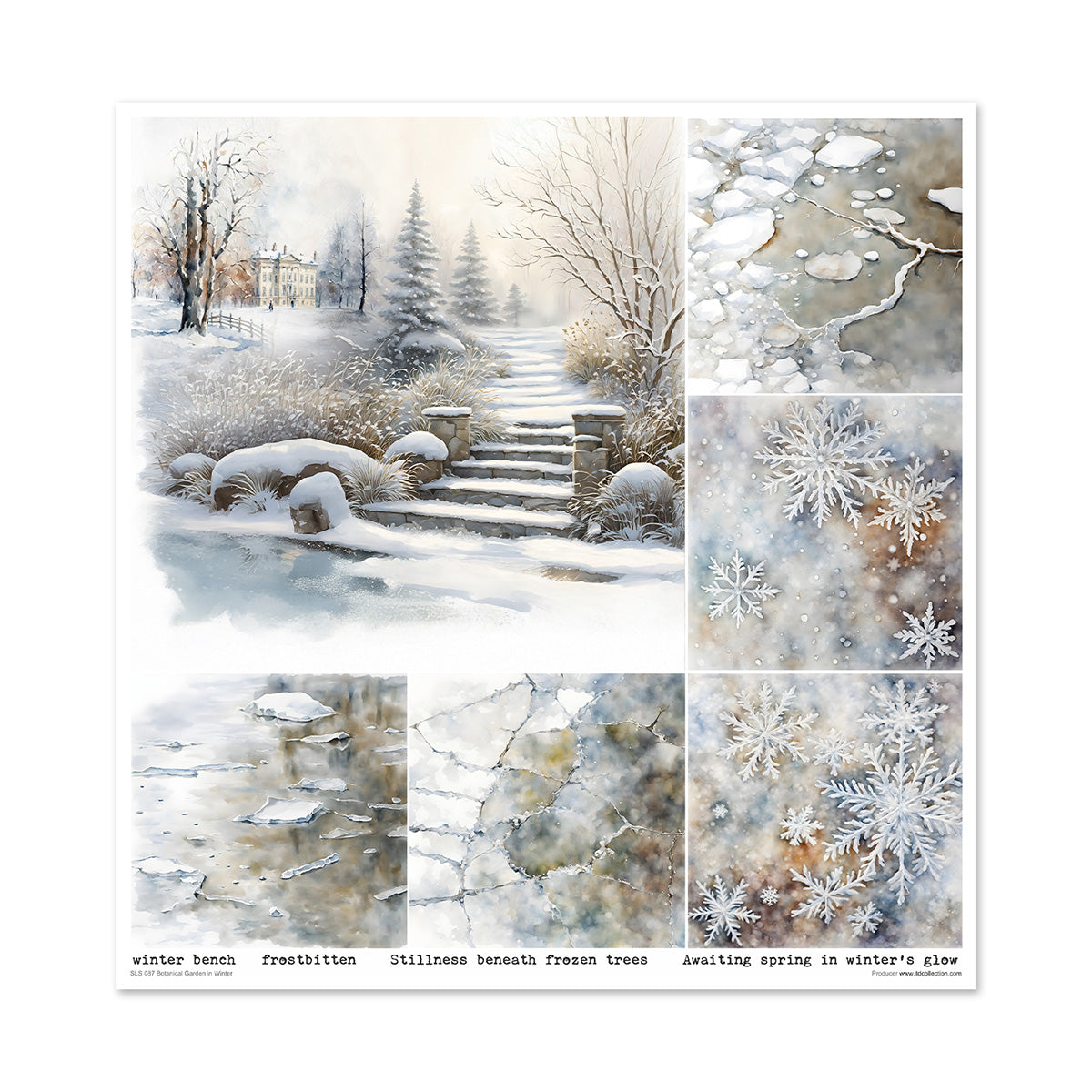 Paperisetti Botanical Garden in Winter 30 x 30cm | ITD Collection