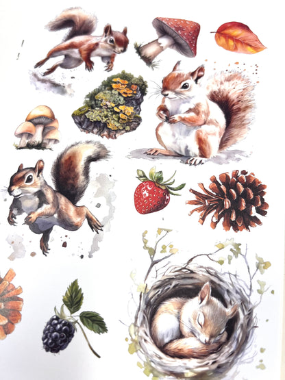 Craft book Cottages &amp; Saunas A4 | Glimmering Deep