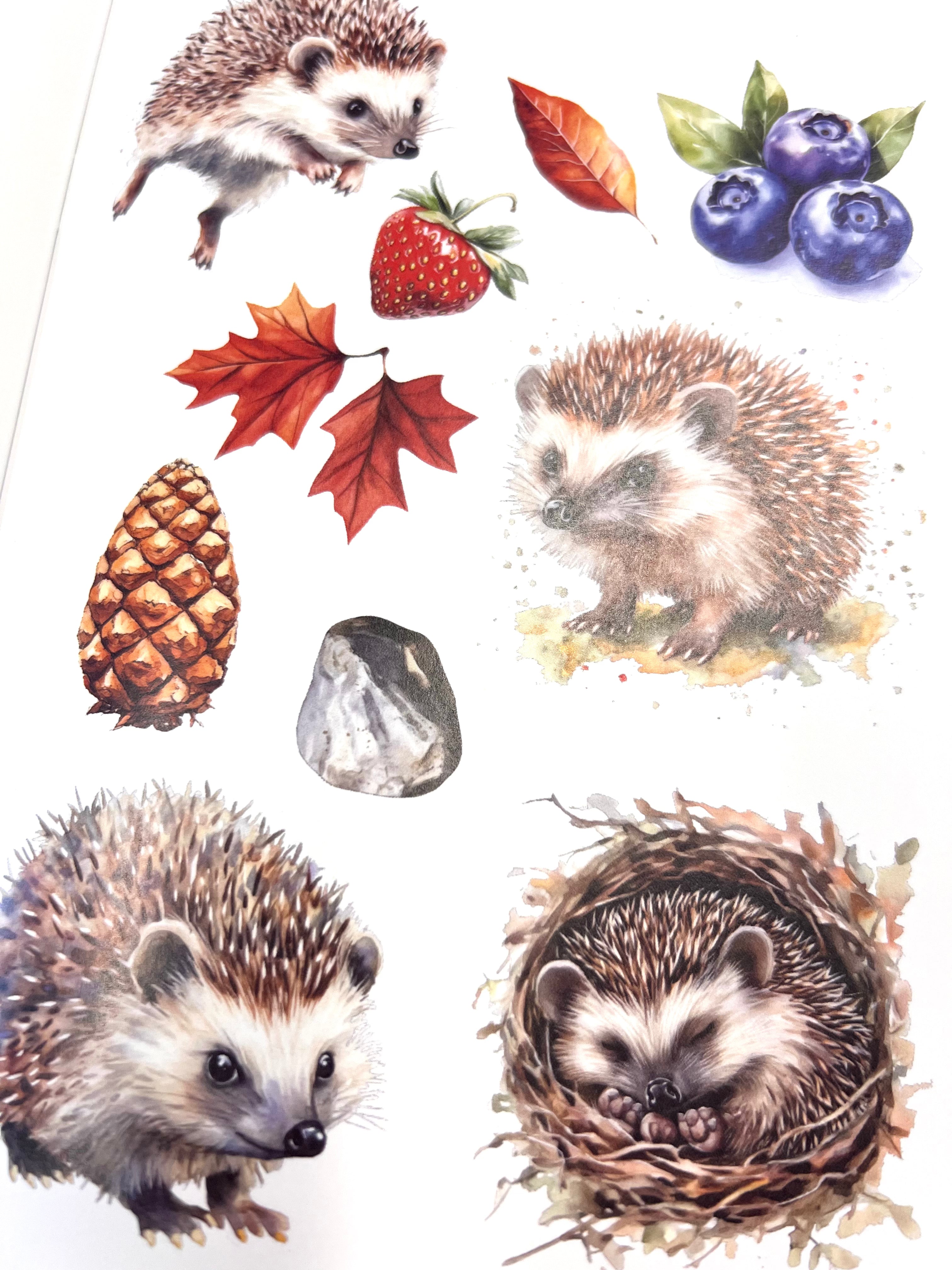 Craft book Cottages &amp; Saunas A4 | Glimmering Deep