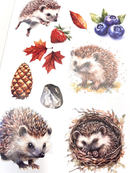 Craft book Cottages &amp; Saunas A4 | Glimmering Deep