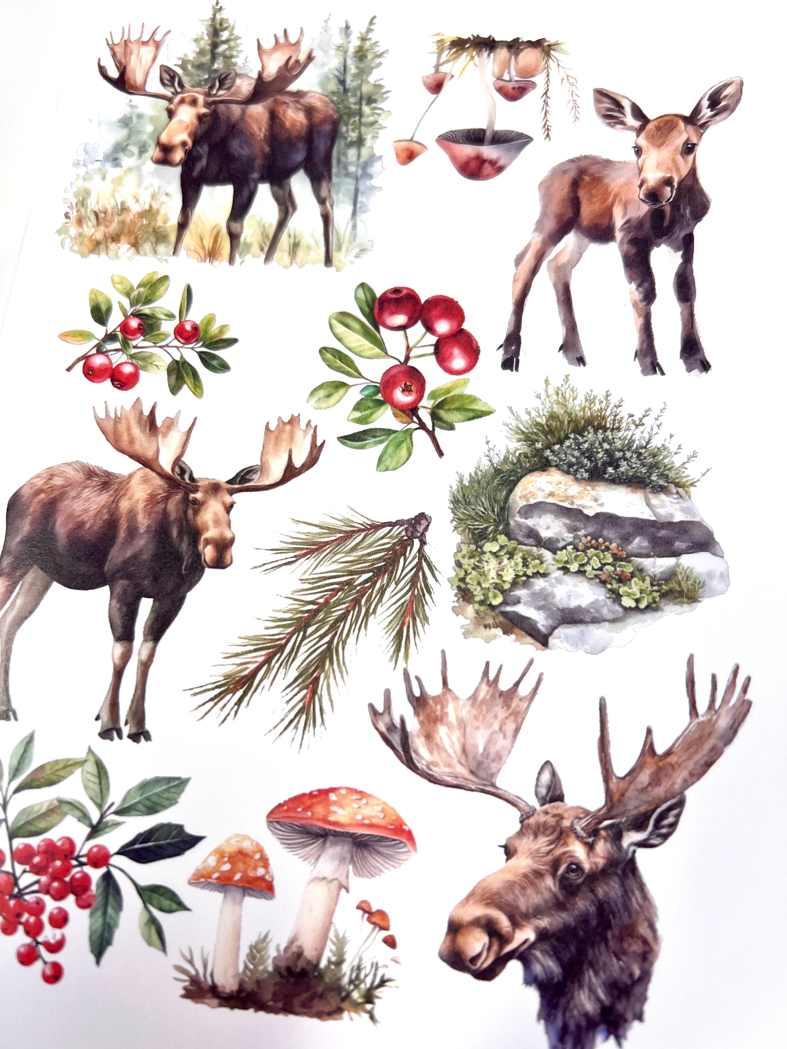 Craft book Cottages &amp; Saunas A4 | Glimmering Deep