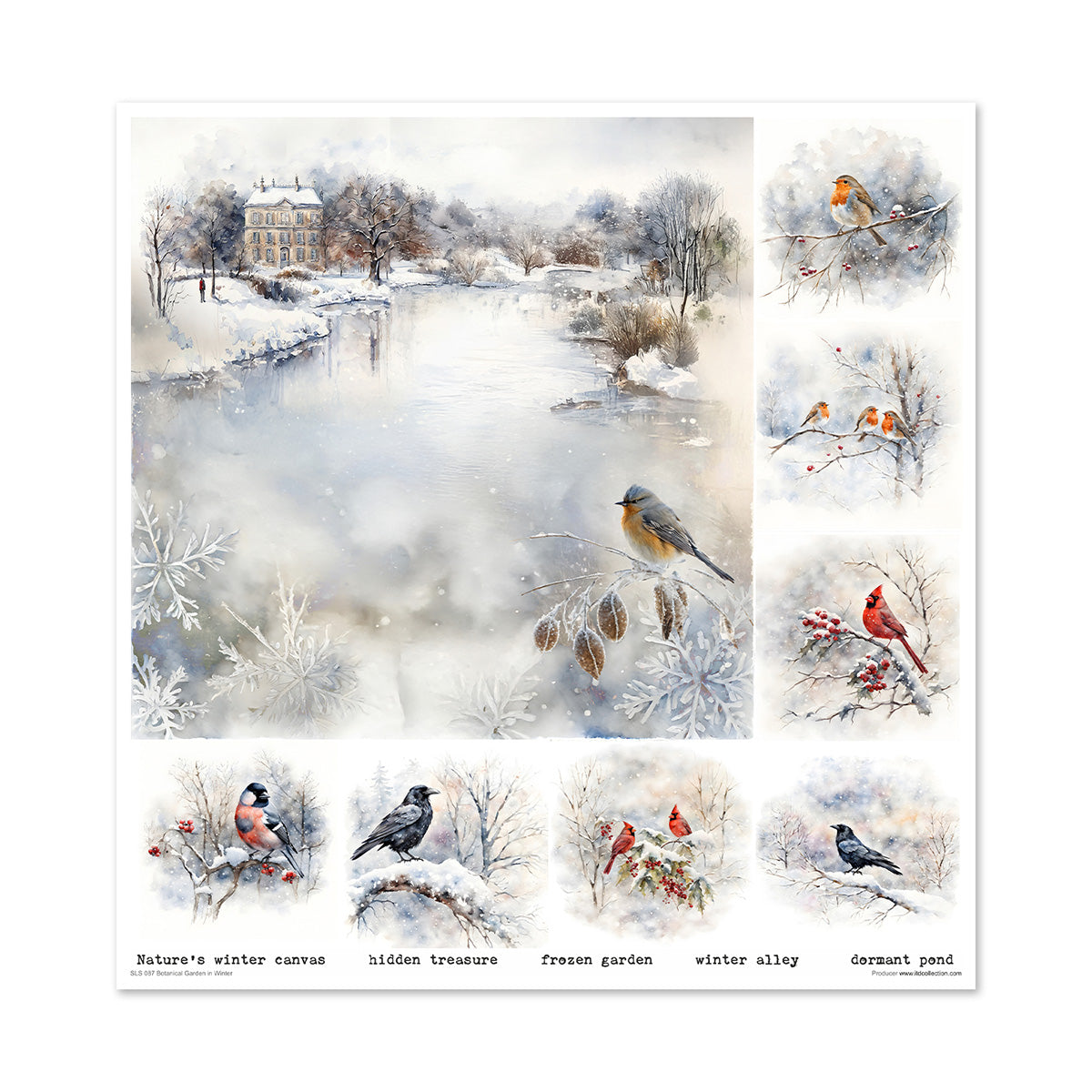 Paperisetti Botanical Garden in Winter 30 x 30cm | ITD Collection