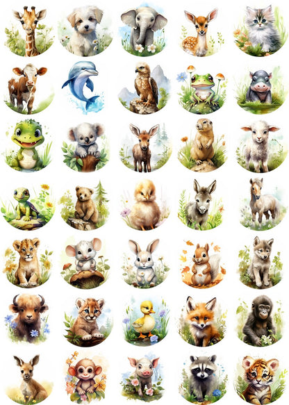 Tarra-arkki Animal Life | Sticker Varia