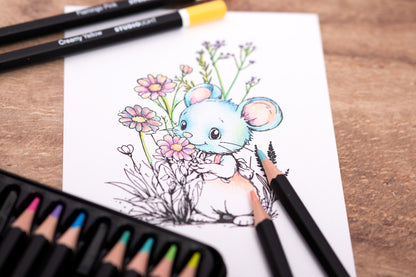 Värityskynät, pastellivärit | Studio Light